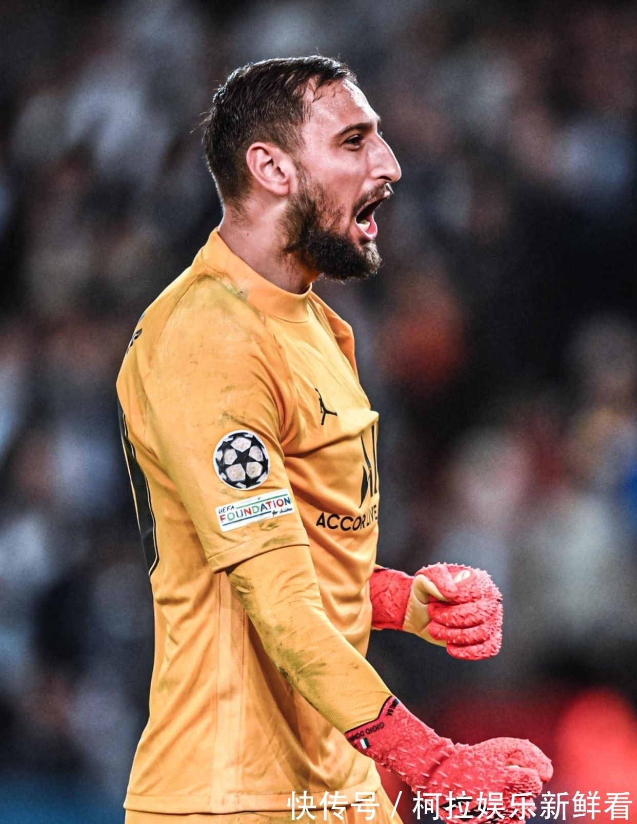 全磁悬浮洁净泵